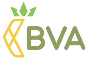 BVA-icon